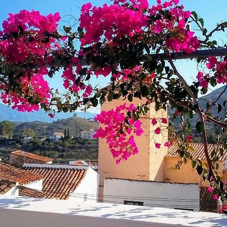 Casa Caballito De Mar Boutique B&B Bédar Extérieur photo