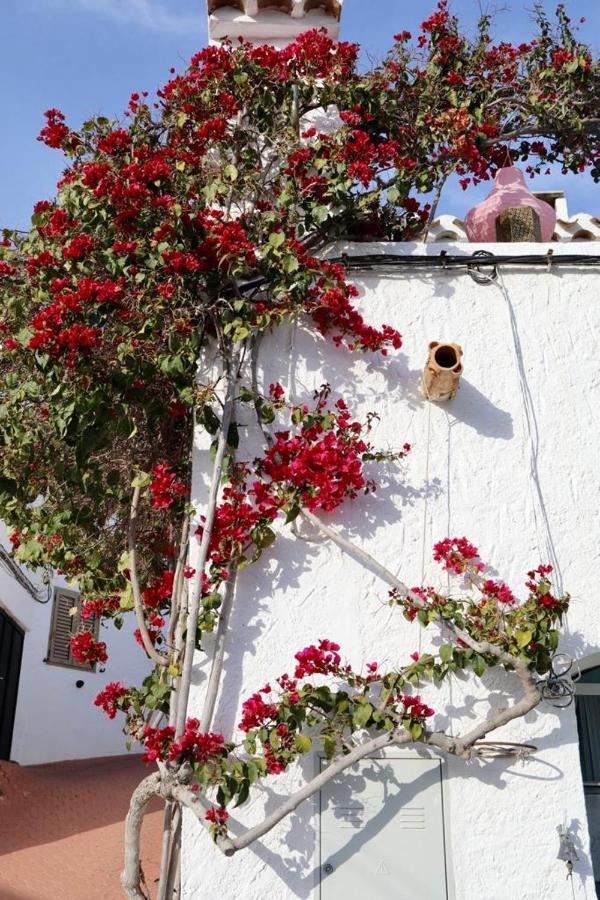 Casa Caballito De Mar Boutique B&B Bédar Extérieur photo