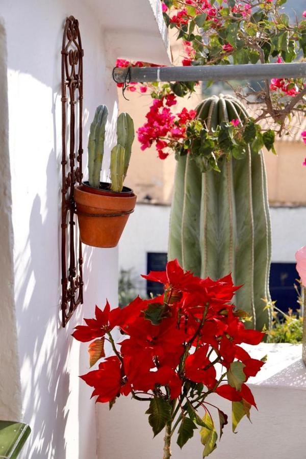 Casa Caballito De Mar Boutique B&B Bédar Extérieur photo