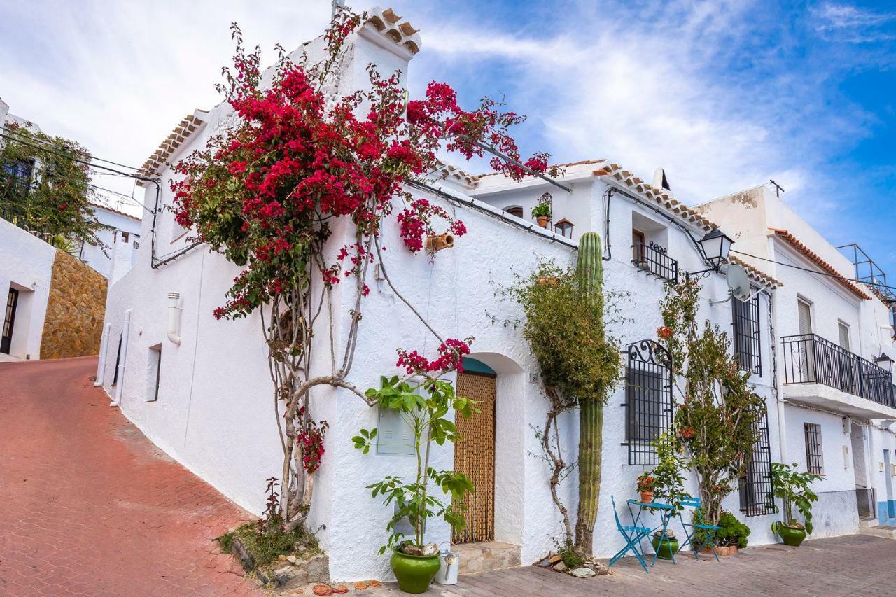 Casa Caballito De Mar Boutique B&B Bédar Extérieur photo