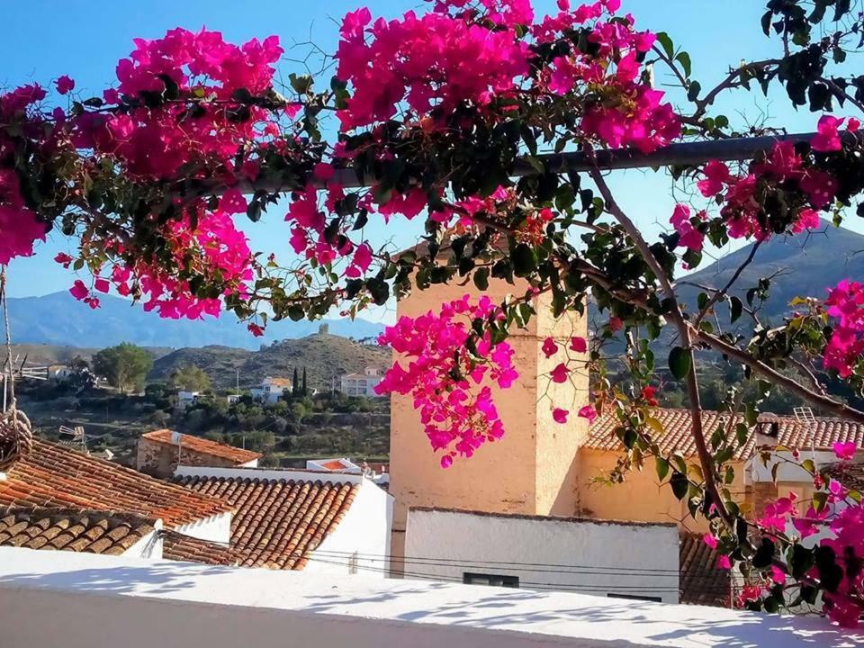 Casa Caballito De Mar Boutique B&B Bédar Extérieur photo